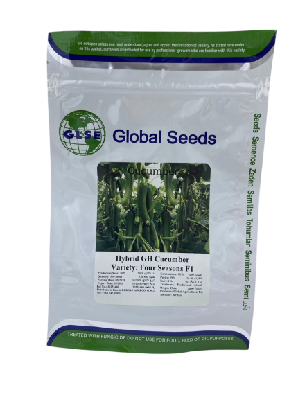 بذور خيار هايبرد للصوب الزراعية – Four Seasons F1 من Global Seeds