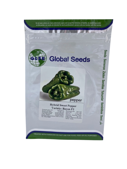 بذور فلفل حلو هجين Bayan F1 – من Global Seeds