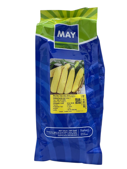 بذور ذرة حلوة هجينة – VEGA F1 من MAY