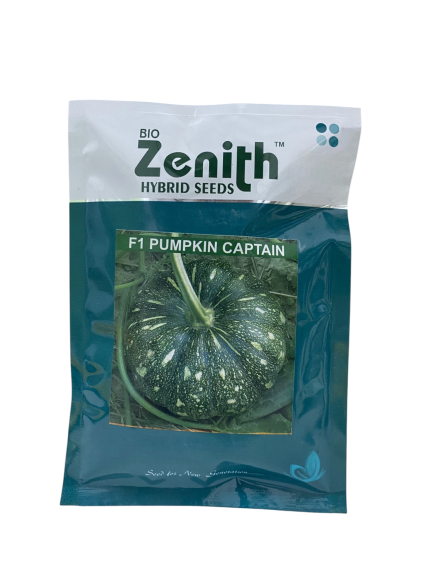 بذور قرع هجين – F1 PUMPKIN CAPTAIN من Bio Zenith