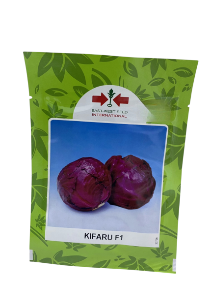 بذور كرنب أحمر هجين – KIFARU F1 من East-West Seed