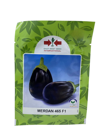 بذور باذنجان هجين – MERDAN 465 F1 من East-West Seed
