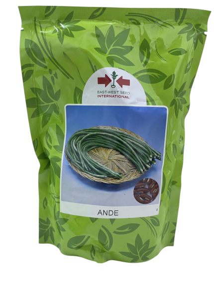 بذور فاصوليا طويلة – ANDE F1 من East-West Seed