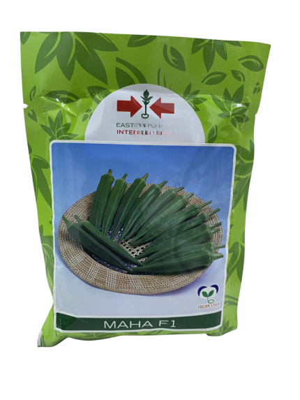 بذور بامية – MAHA F1 من East-West Seed
