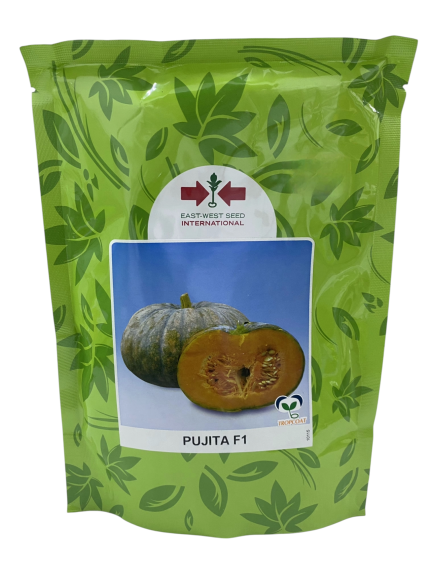 بذور قرع – PUJITA F1 من East-West Seed