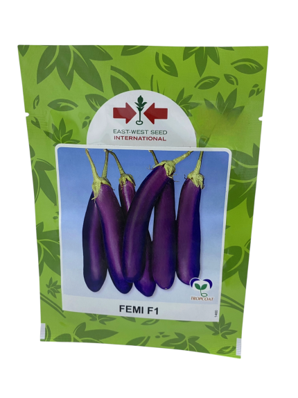 بذور باذنجان – FEMI F1 من East-West Seed