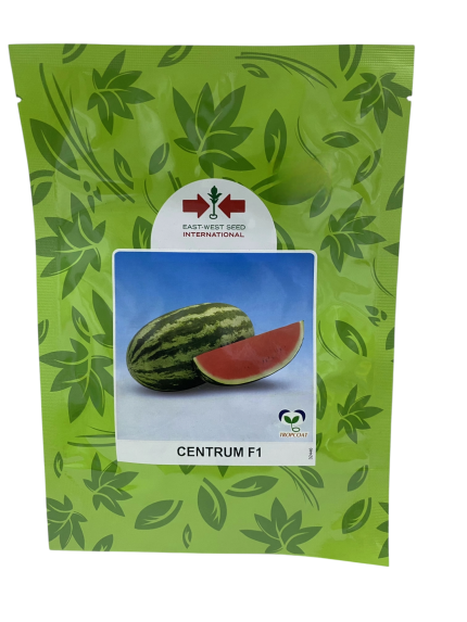 بذور بطيخ هجين – CENTRUM F1 من East-West Seed