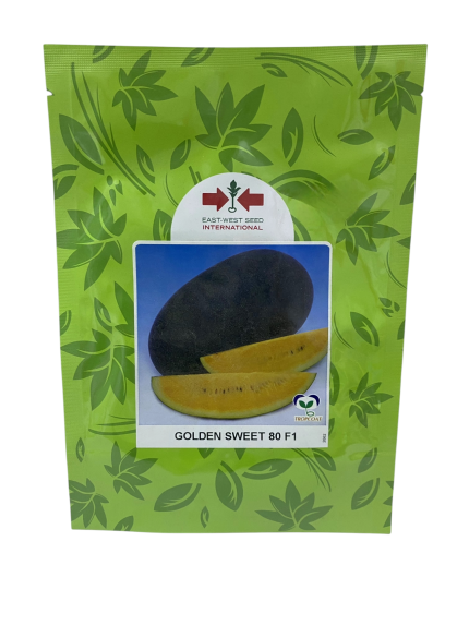 بذور شمام هجين – GOLDEN SWEET 80 F1 من East-West Seed