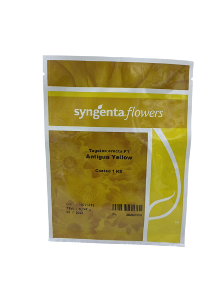 بذور ماريغولد هجينة – Antigua Yellow F1 من Syngenta Flowers