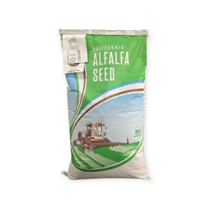 بذور الجت (البرسيم) – California Alfalfa Seed